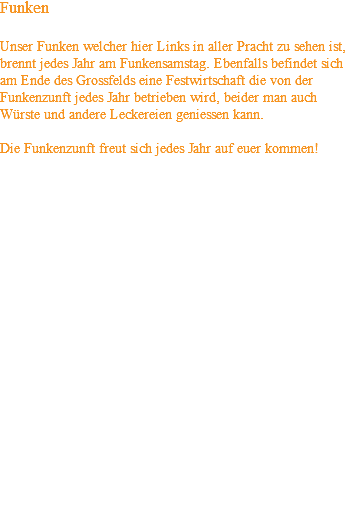 Funken Unser Funken welcher hier Links in aller Pracht zu sehen ist, brennt jedes Jahr am Funkensamstag. Ebenfalls befindet sich am Ende des Grossfelds eine Festwirtschaft die von der Funkenzunft jedes Jahr betrieben wird, beider man auch Würste und andere Leckereien geniessen kann. Die Funkenzunft freut sich jedes Jahr auf euer kommen! 